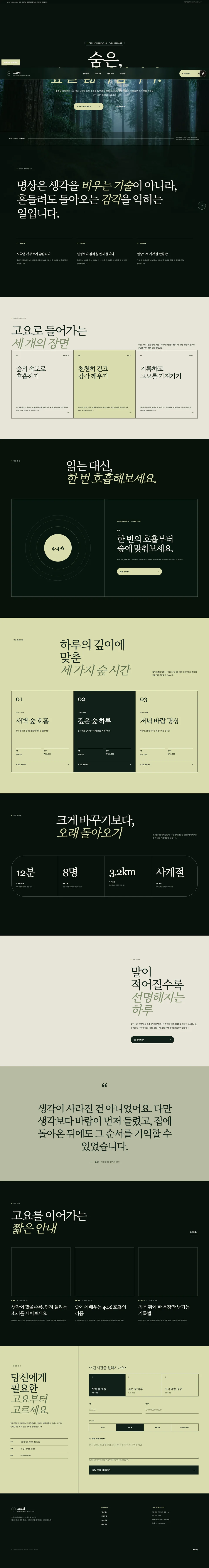 새벽 안개가 내려앉은 숲 명상 리트릿